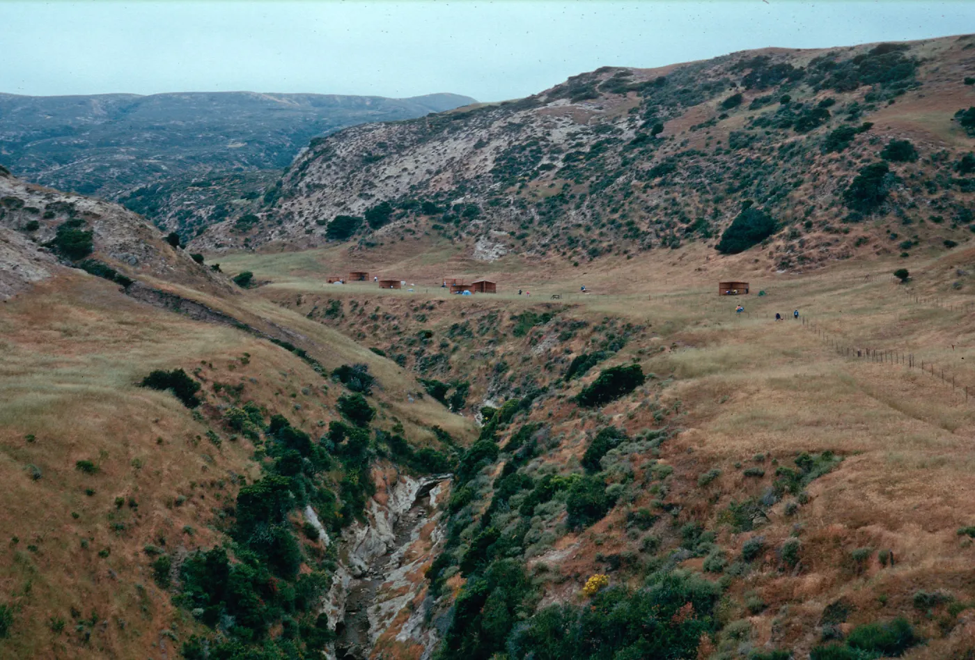 campground, Water Canyon, Santa Rosa Island