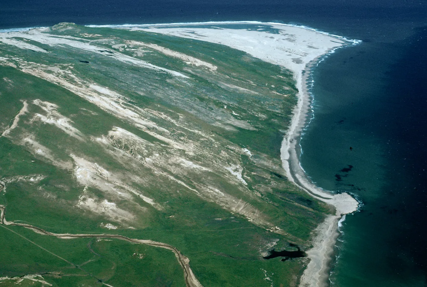 Skunk Point, Santa Rosa Island