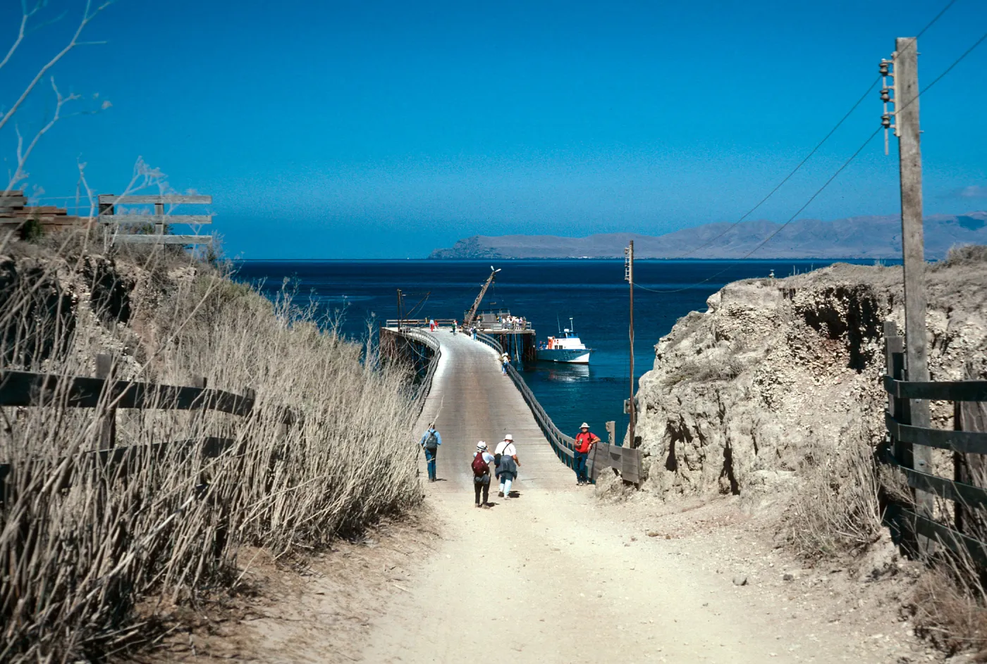 wharf, Beechers Bay, Santa Rosa Island