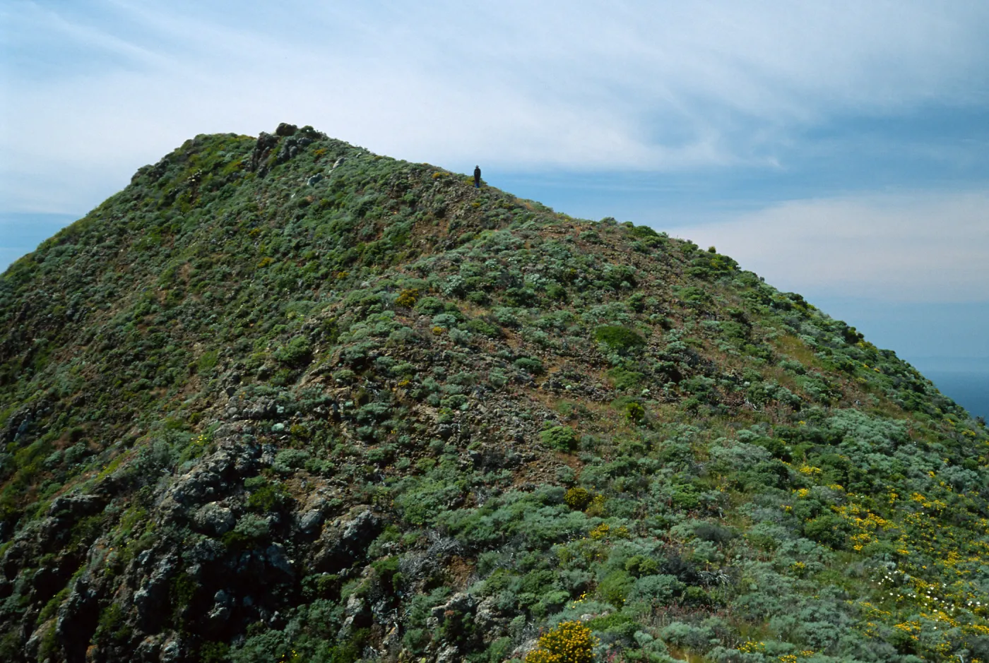Keri hiking down East side of Summit Peak, West Anacapa Island