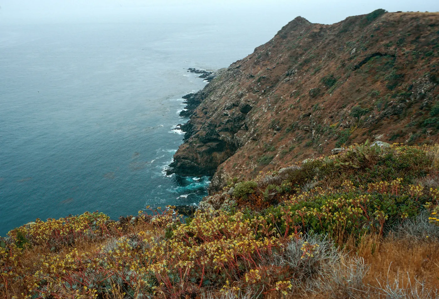 offshore bluffs, Southwest side, West Anacapa Island