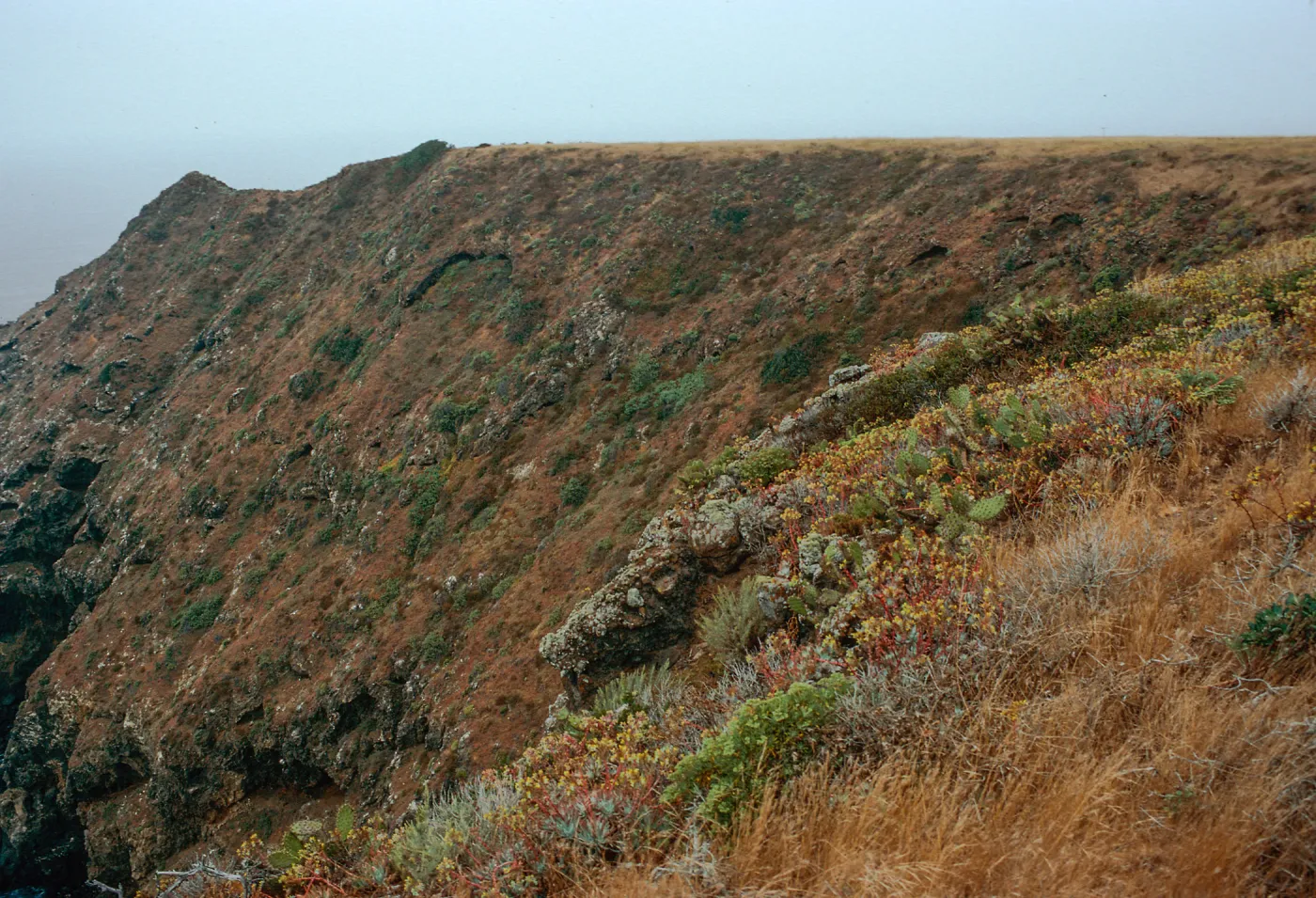 offshore bluffs, Southwest side, West Anacapa Island