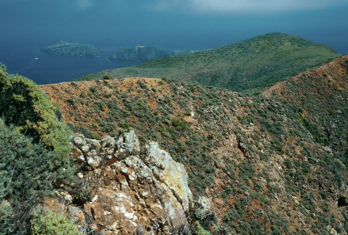 ridge, view of East Anacapa Island, West of Camel Peak, West Anacapa Island