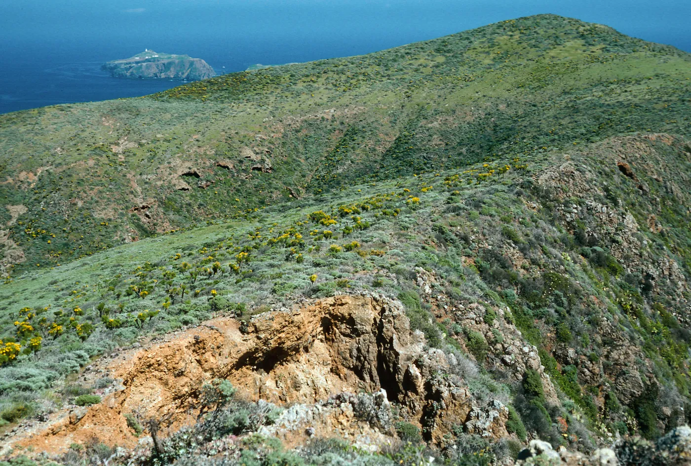 ridge, West of Camel Peak, West Anacapa Island