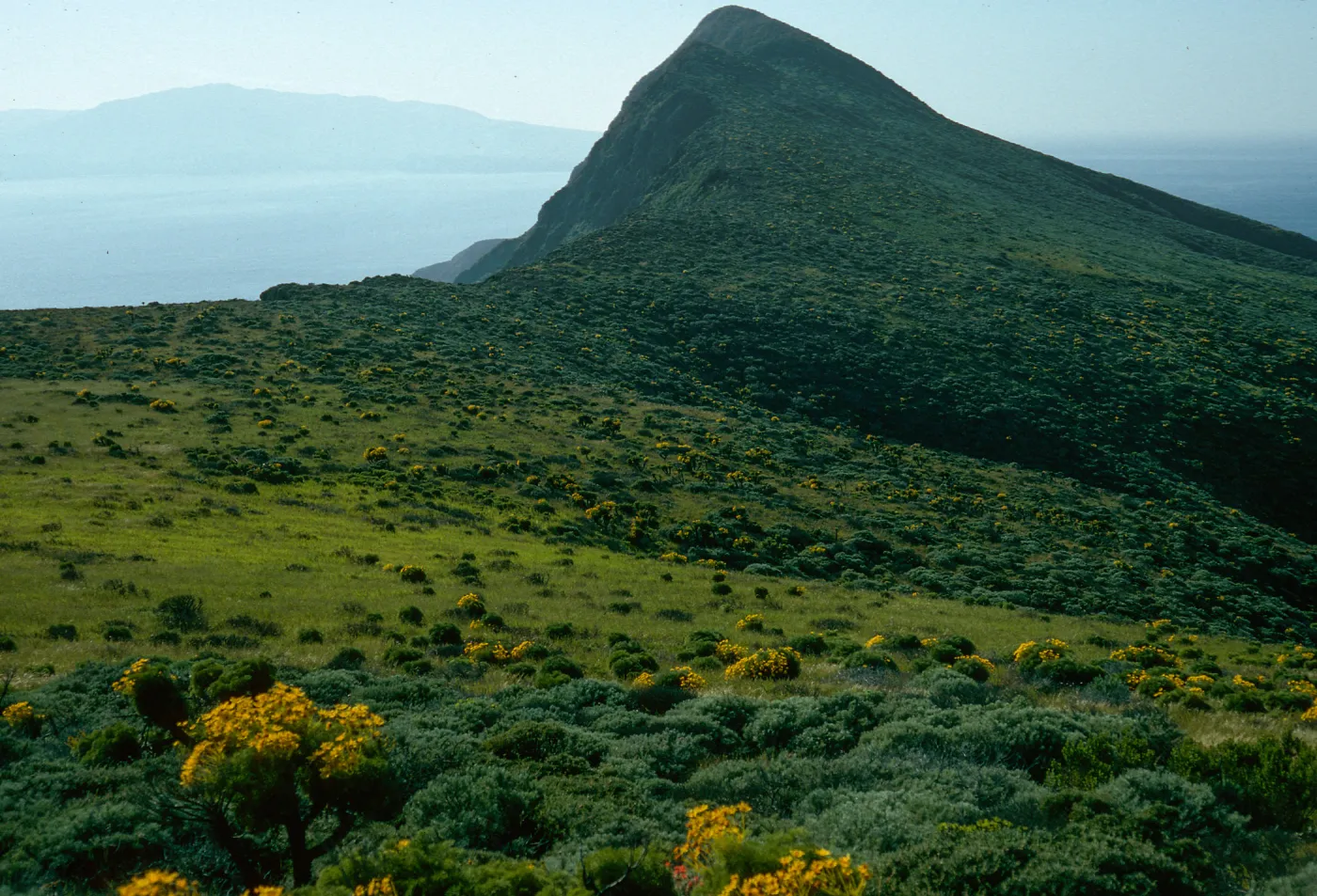 Summit Peak from Western flanks of Camel Peak, West Anacapa Island