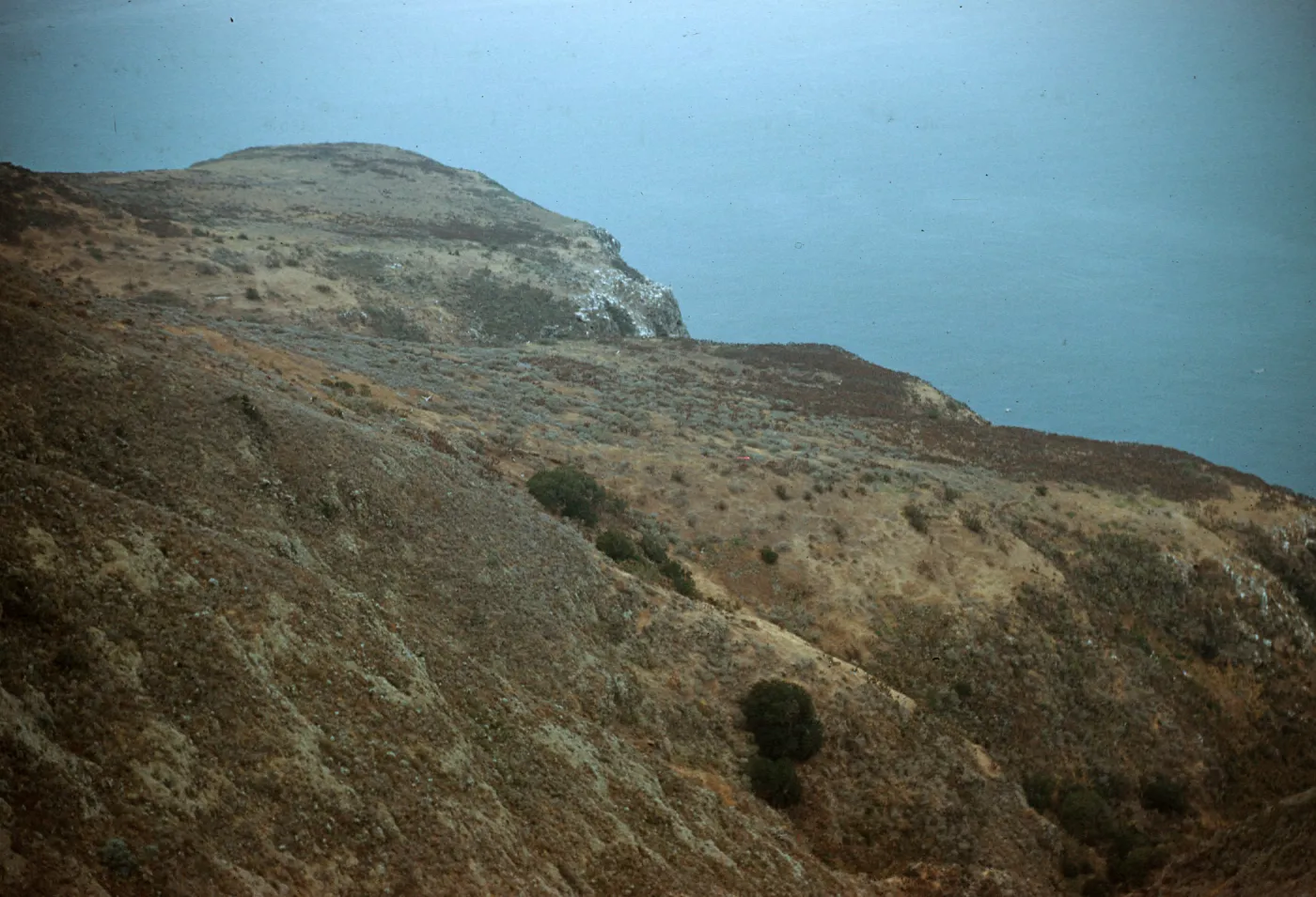 canyon on North side of West Anacapa Island
