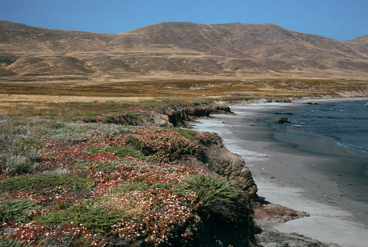Forneys Cove, Santa Cruz Island