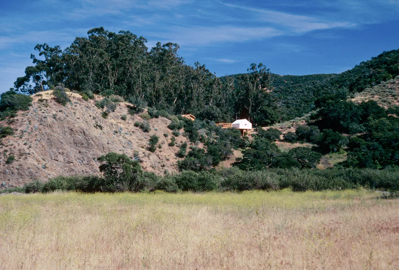 Nature Conservancy tents, West of Bosque Mano, Santa Cruz Island