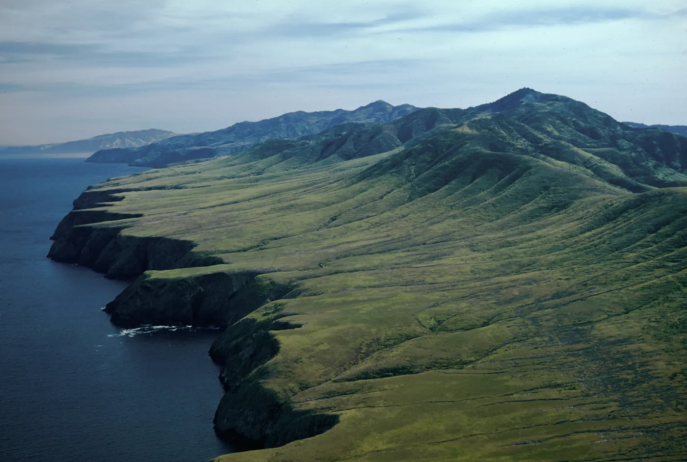 Northwest shore, Santa Cruz Island