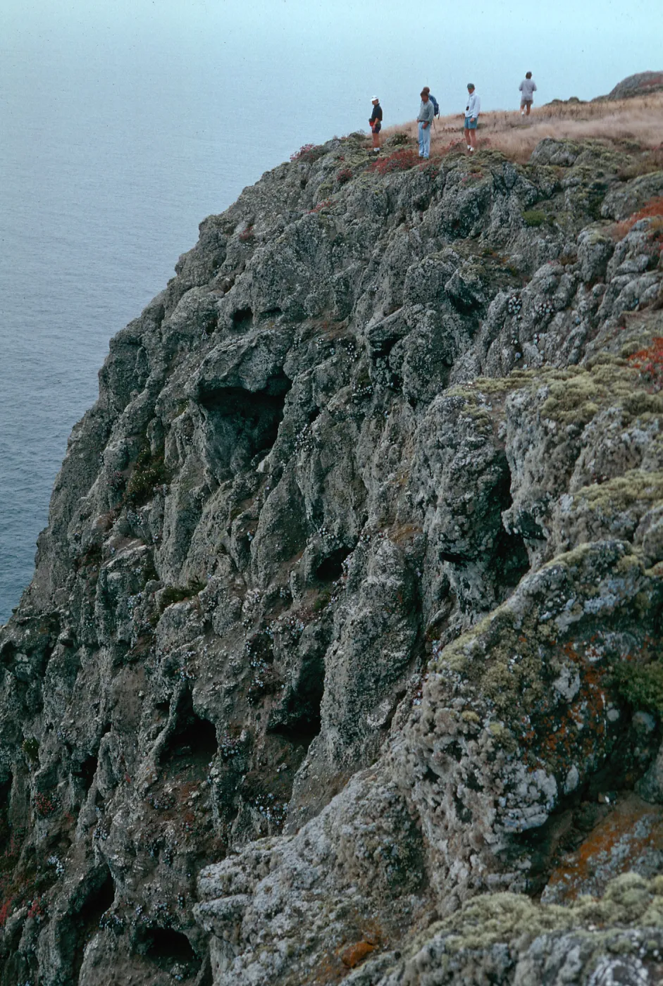 bluffs, East of West Point, Santa Cruz Island
