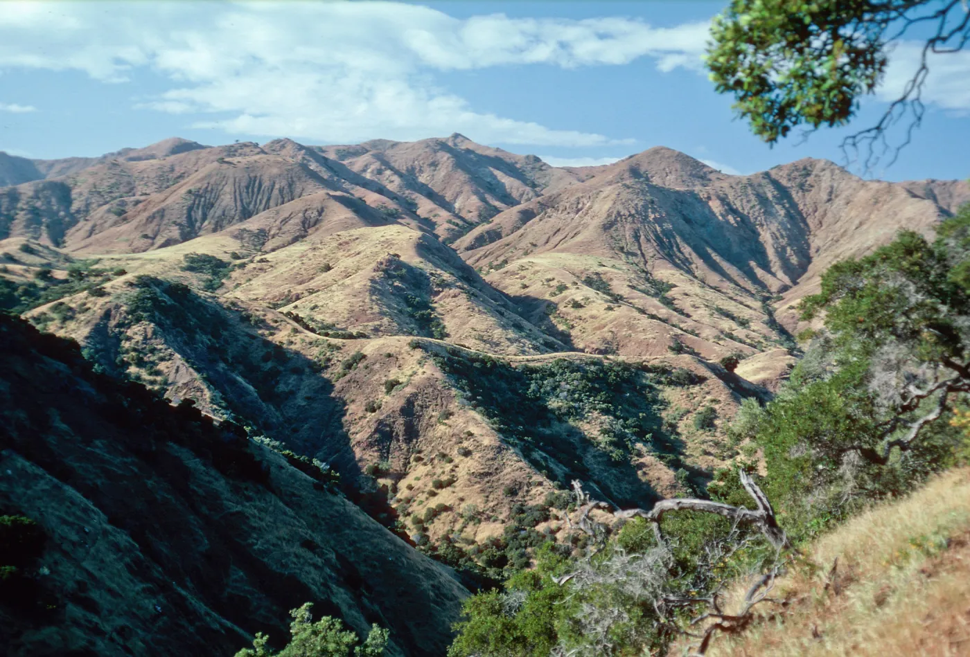 looking North from top of CaÃ±ada de la Mina, Santa Cruz Island