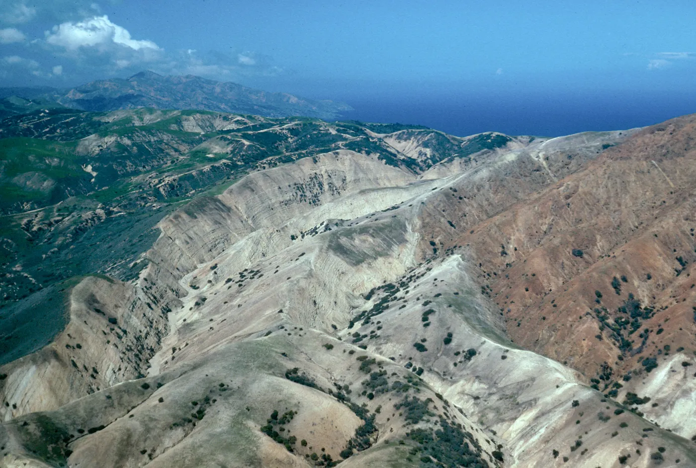 Stanton/Gherini fence line, South side, Santa Cruz Island