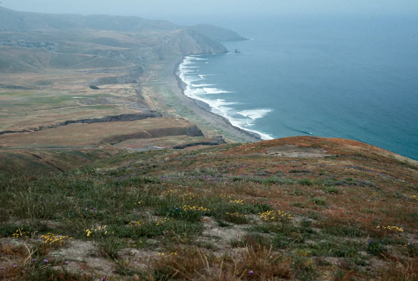 Christy Beach, Santa Cruz Island