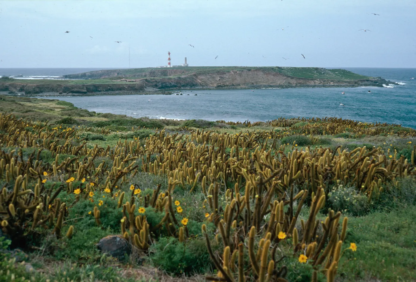 Todos Santos Island