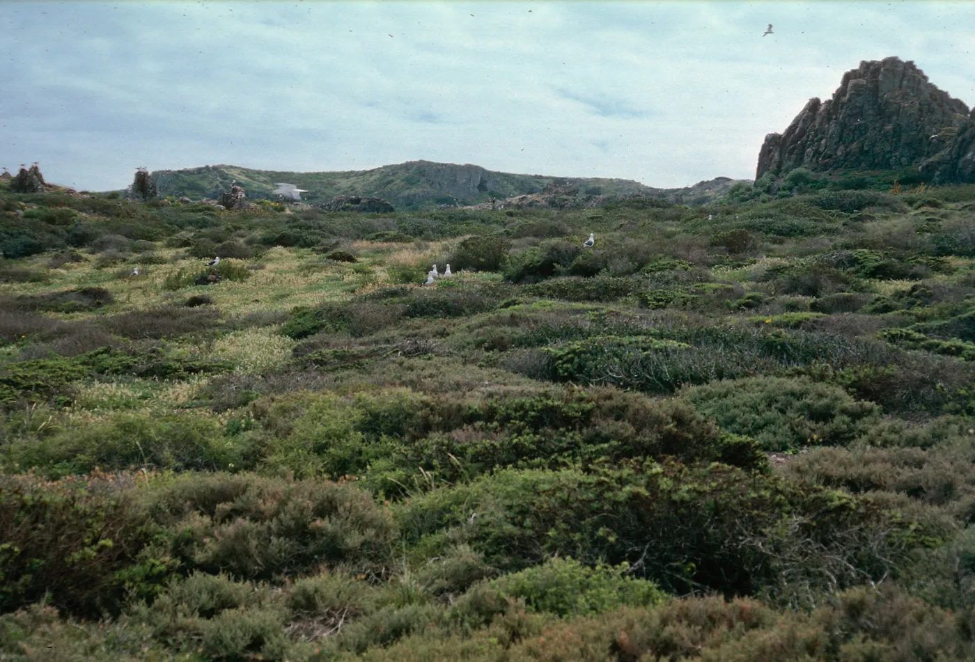 Todos Santos Island