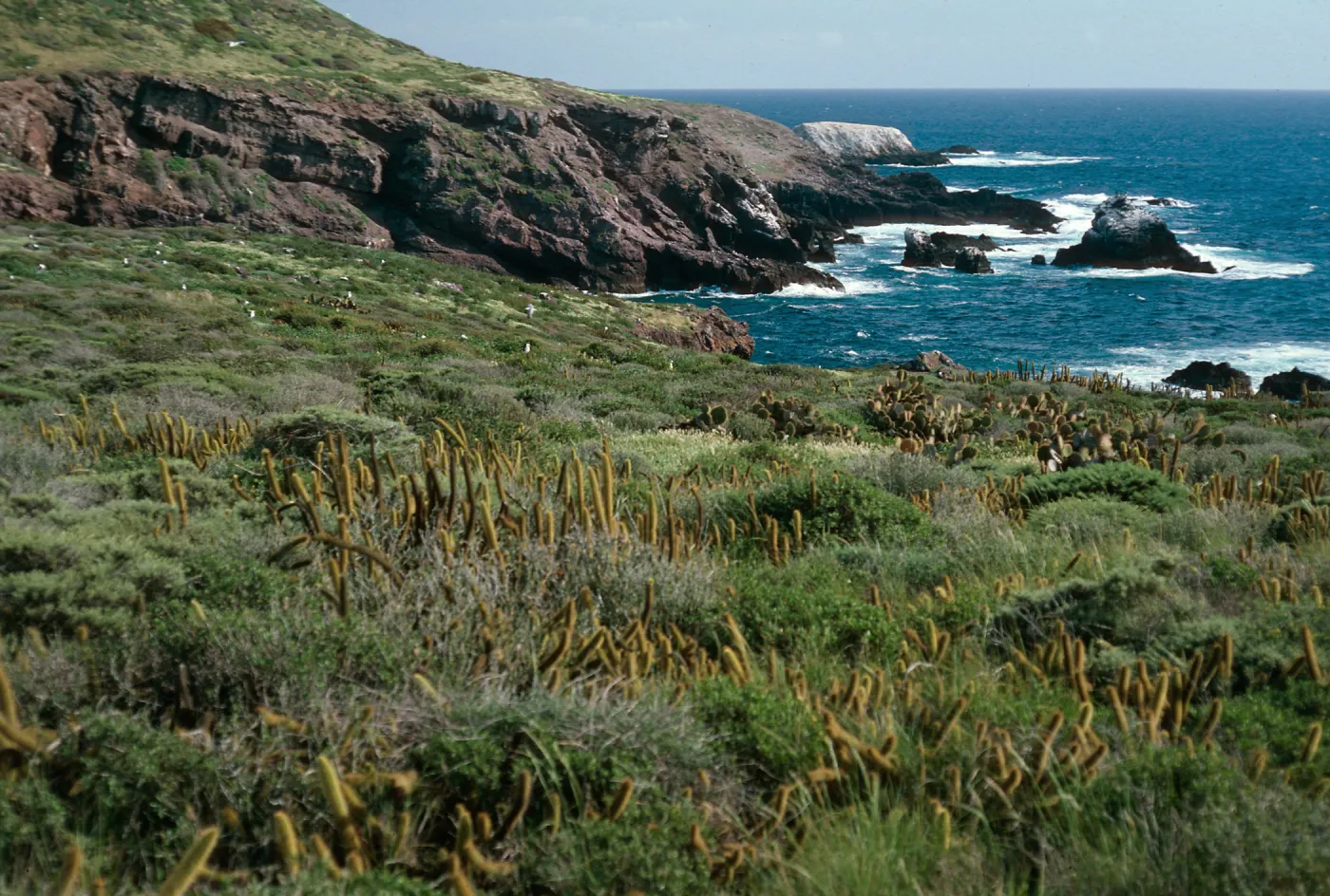 Todos Santos Island