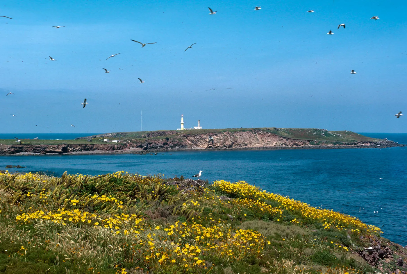 Baja lighthouse on North from North-East part of South island, Todos Santos Island