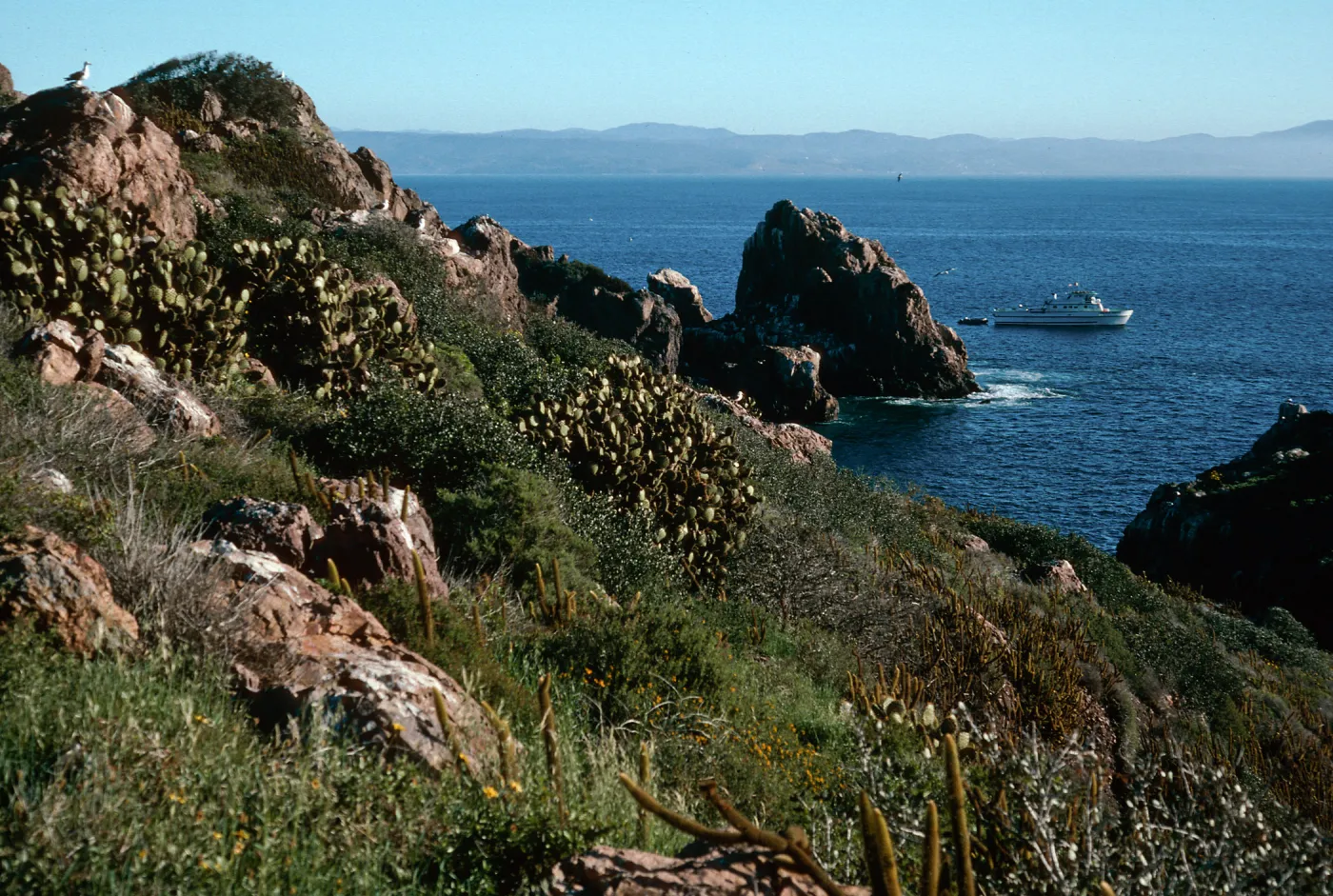 landing, East side, South Todos Santos Island