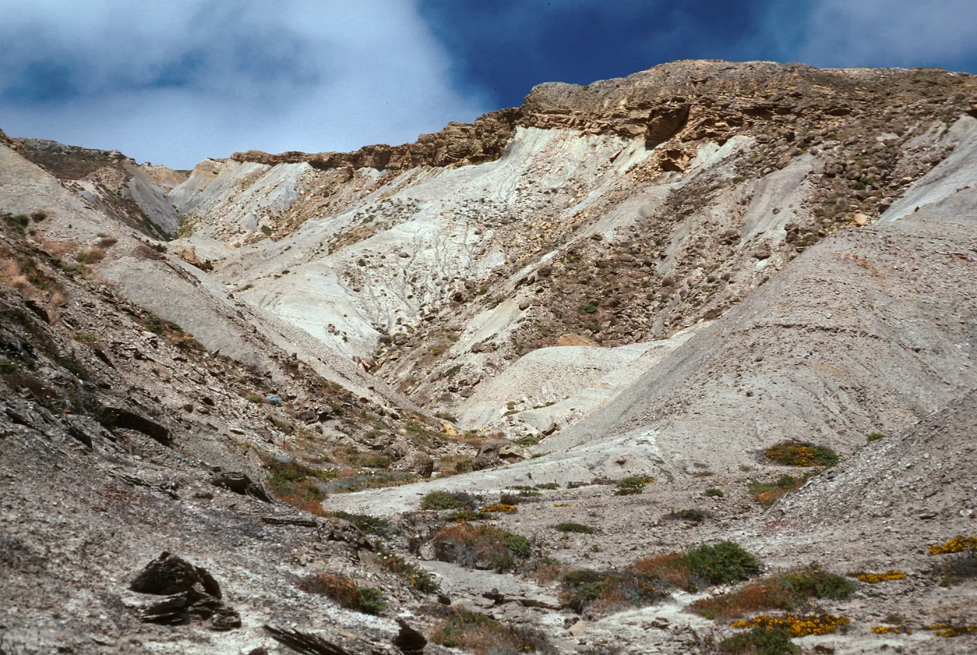 lower Cattail Canyon, San Nicolas Island