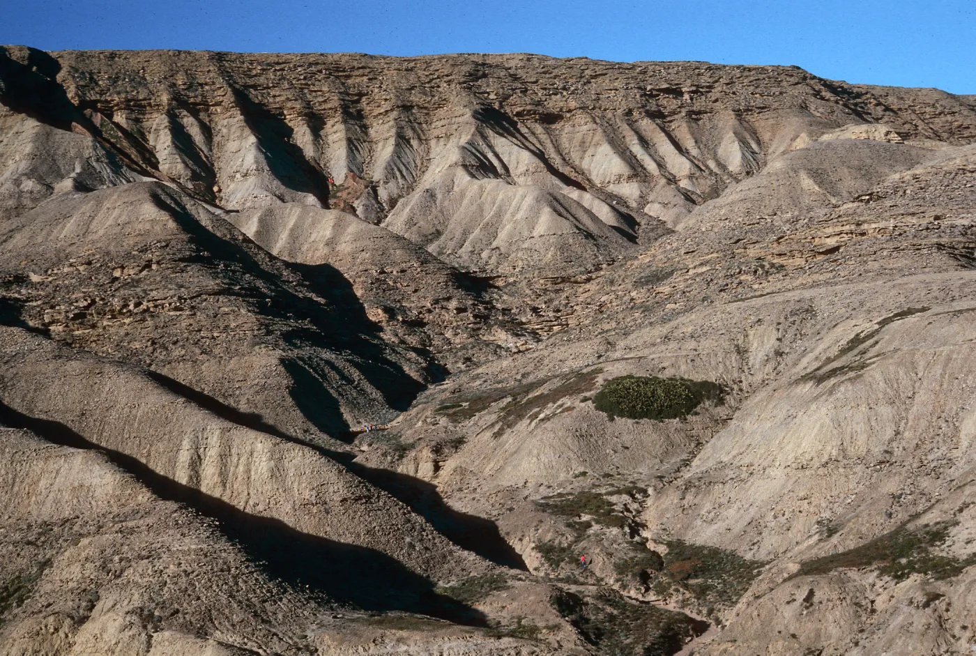 South escarpment, west of Daytona Beach, Eschscholzia ramosa sites in canyon fork, San Nicolas Island