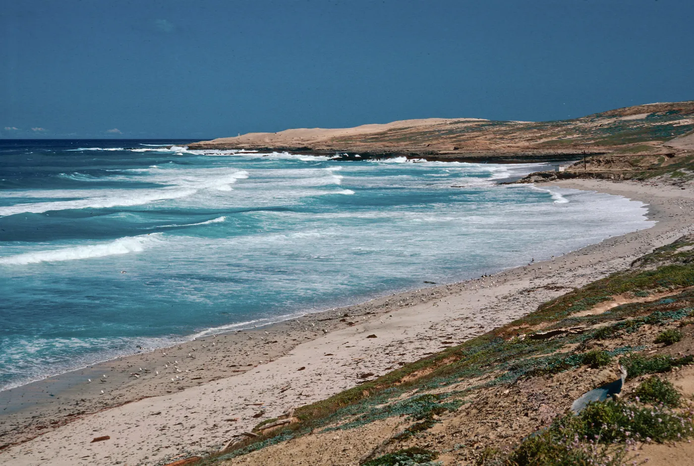 Red Eye Beach, San Nicolas Island