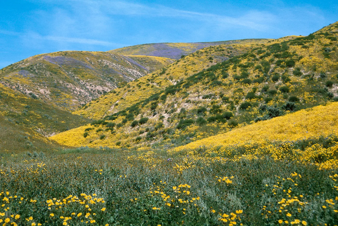 Highway 158, Temblor Range