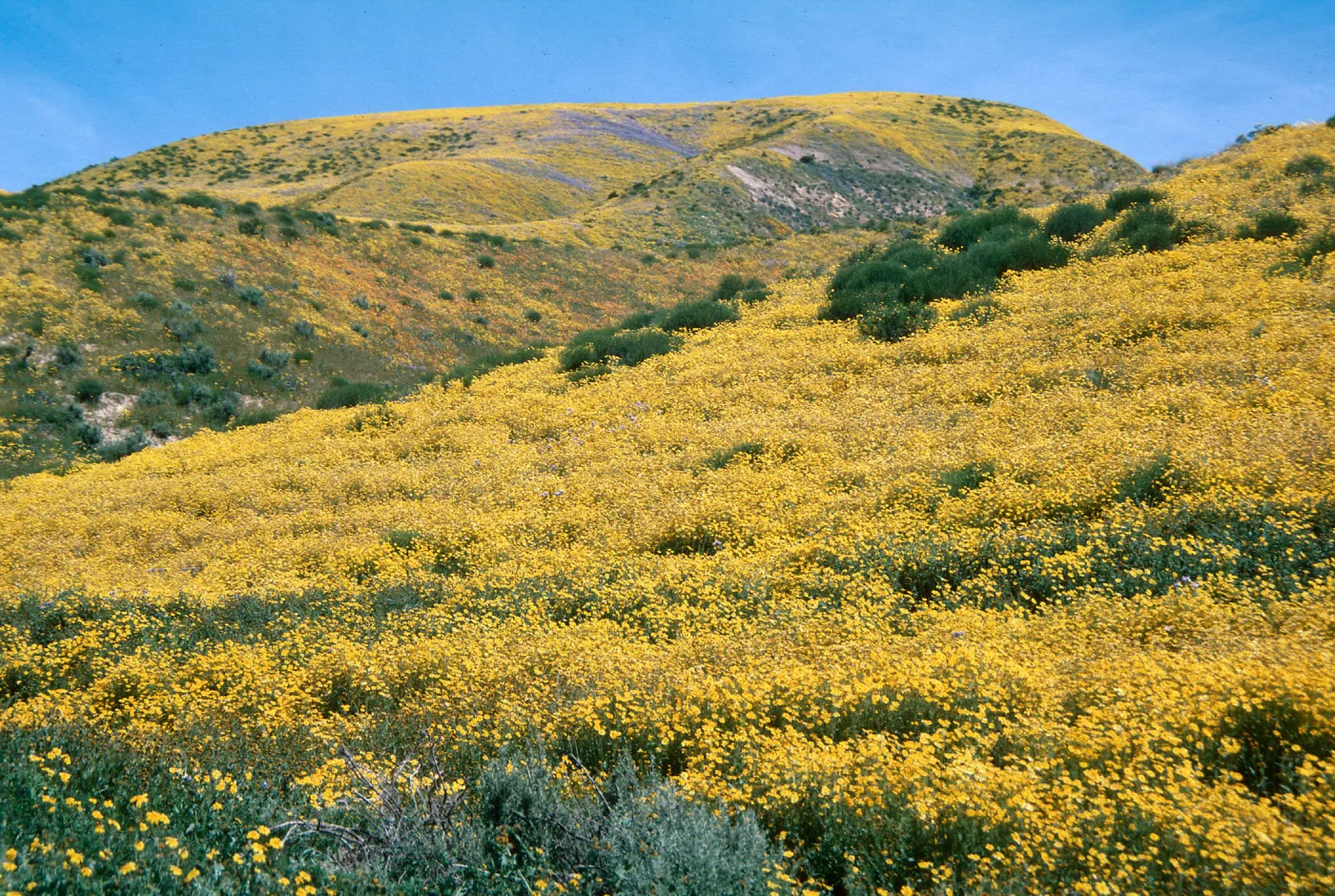 Highway 158, Temblor Range