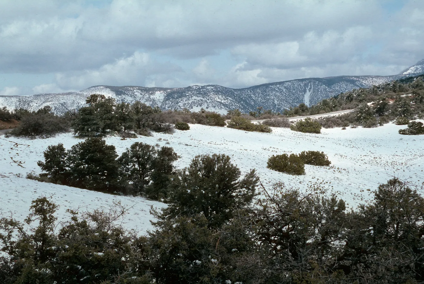 snow, Cerro Noroeste Road