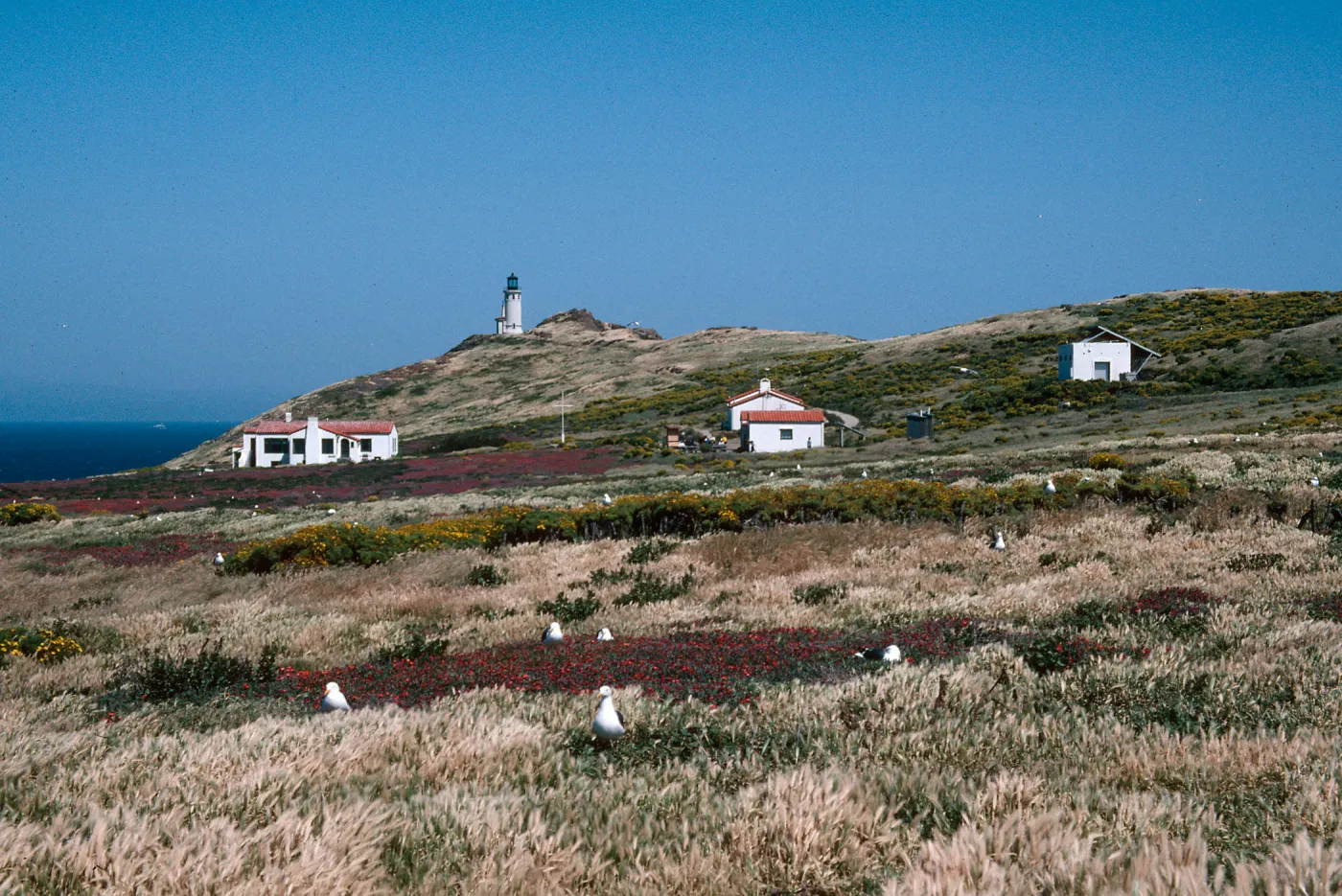 Anacapa Island