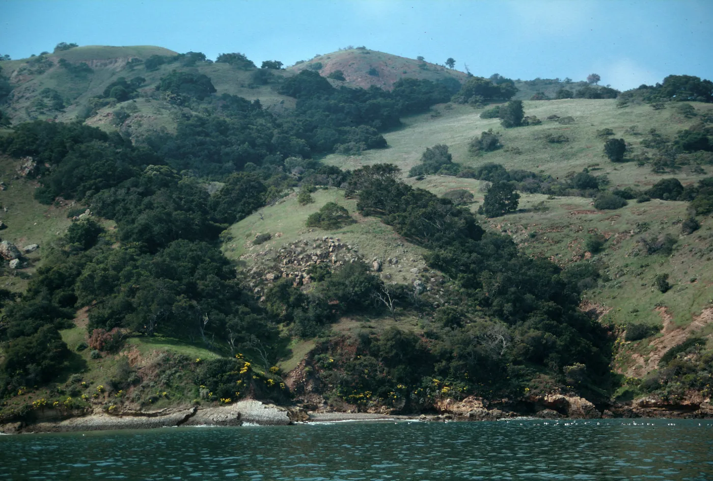 Santa Cruz Island