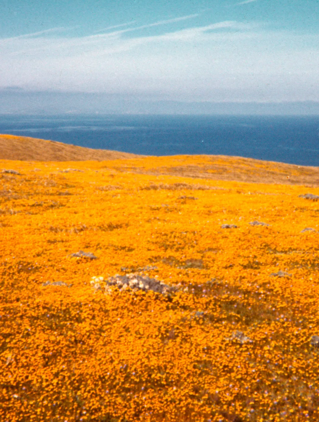 Santa Rosa Island