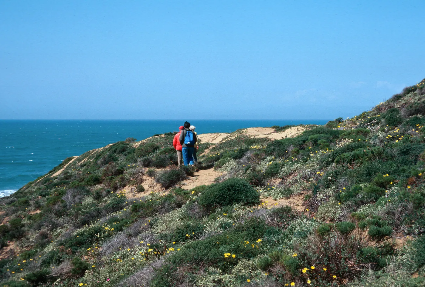 MontaÃ±a de Oro