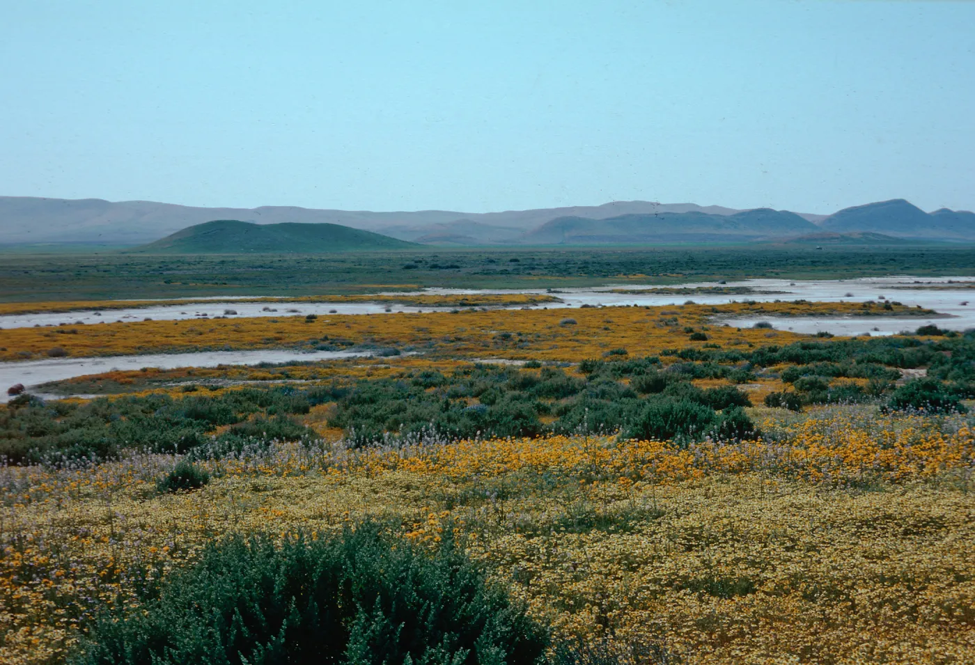 Soda Lake