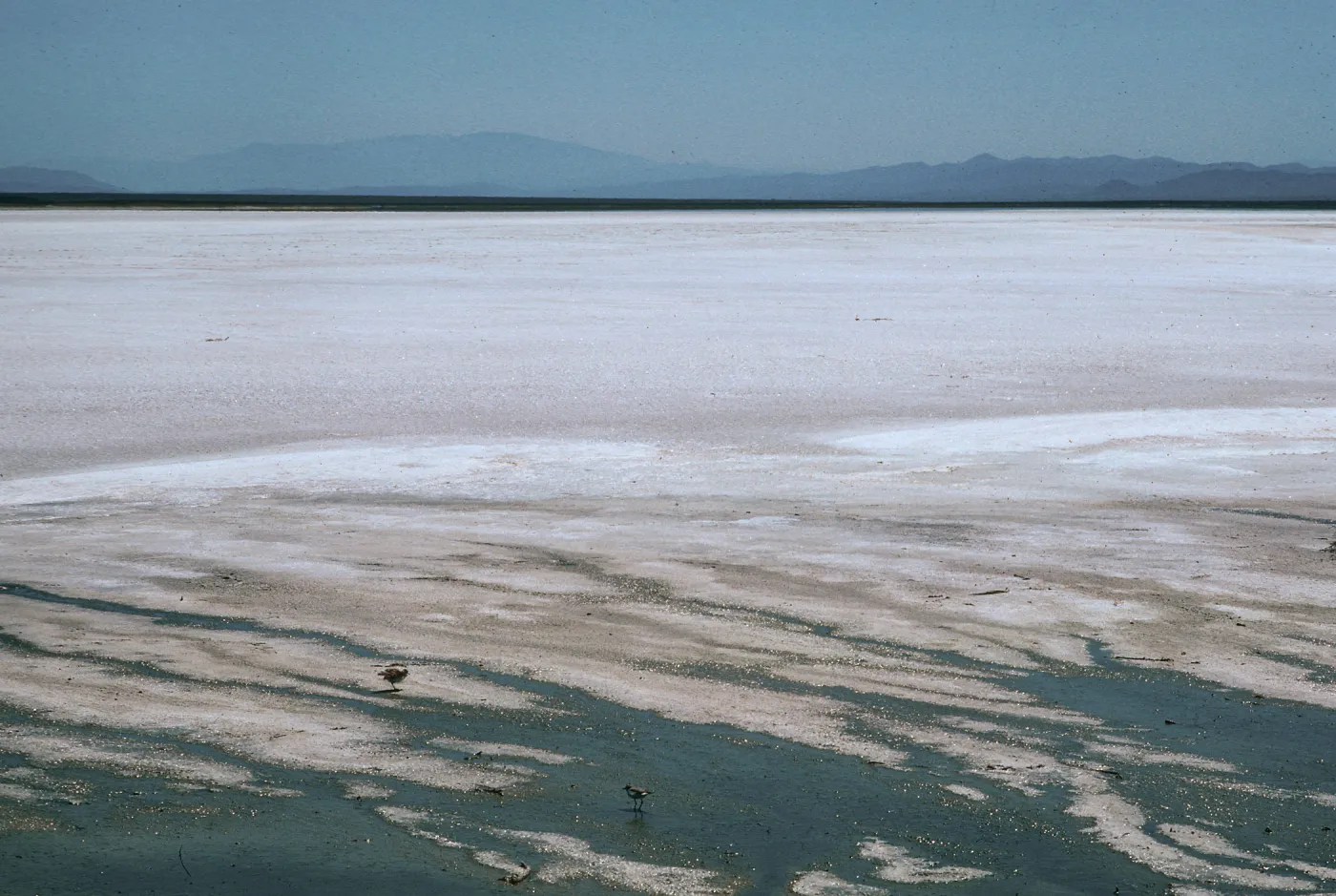 Soda Lake