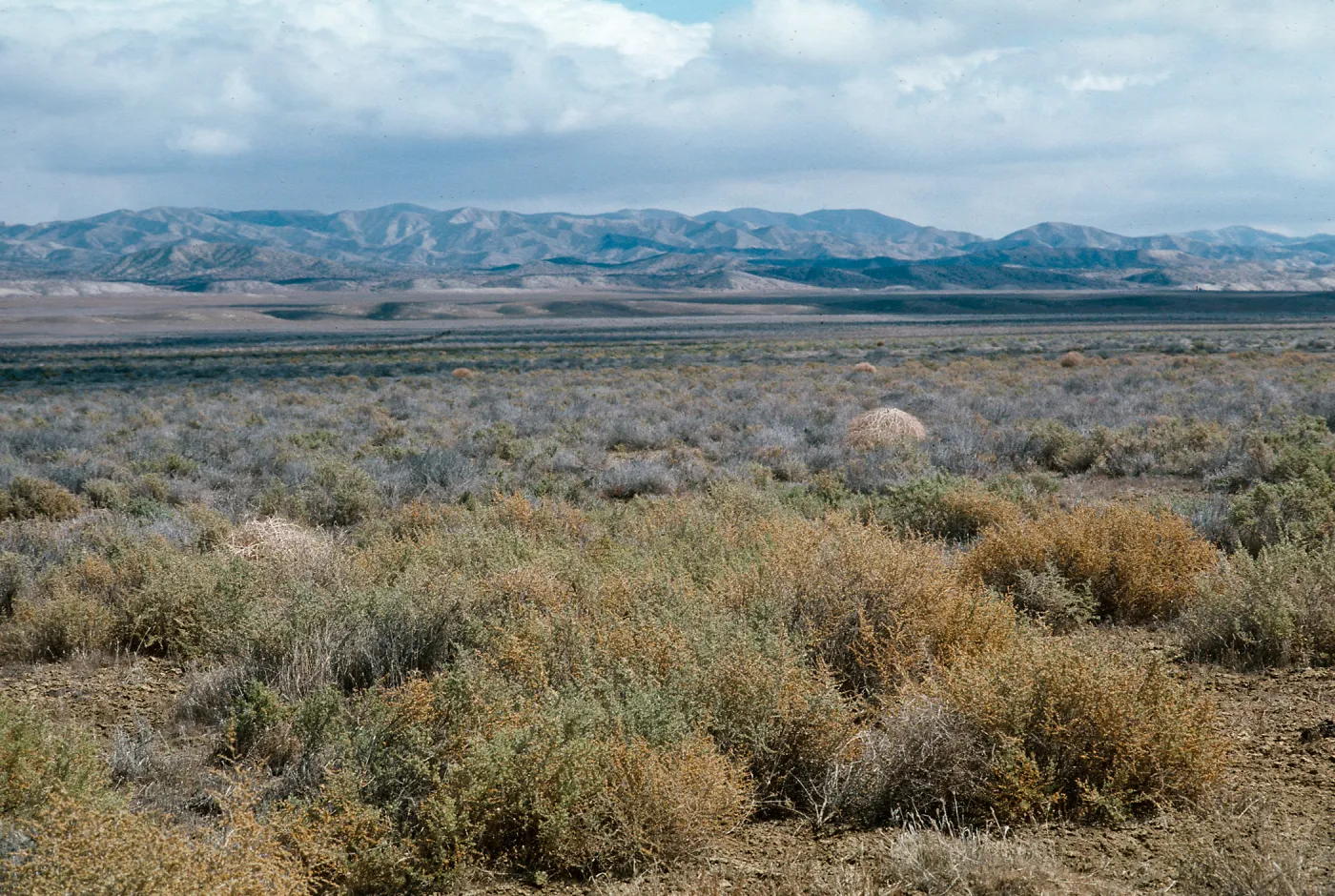 Soda Lake