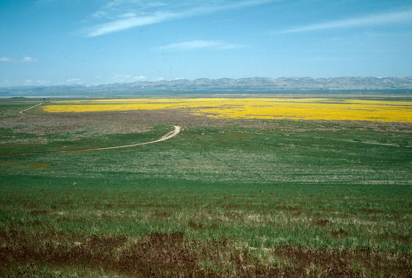 Soda Lake