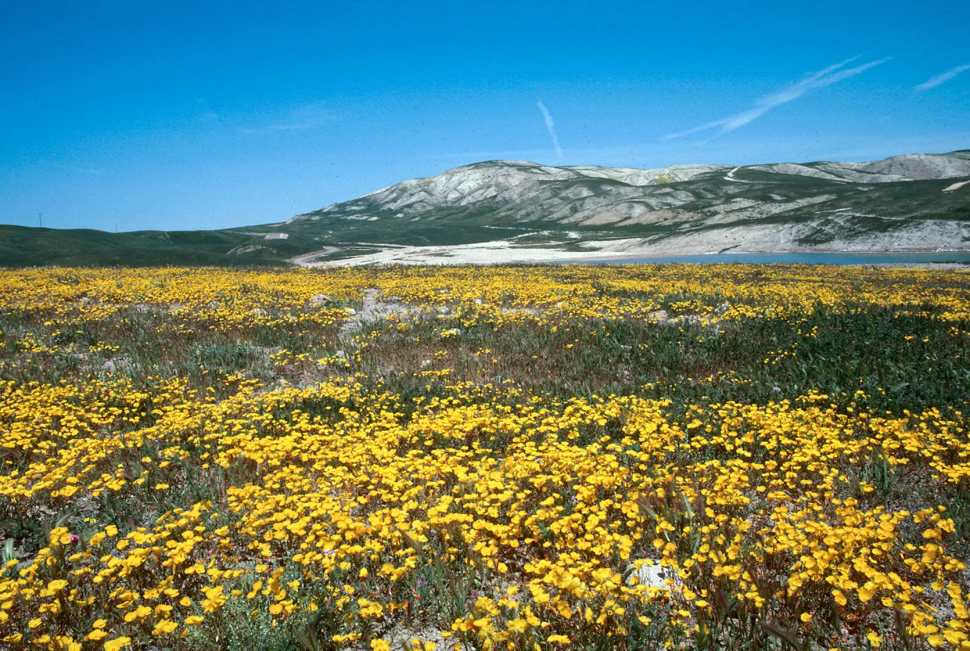 Soda Lake Road