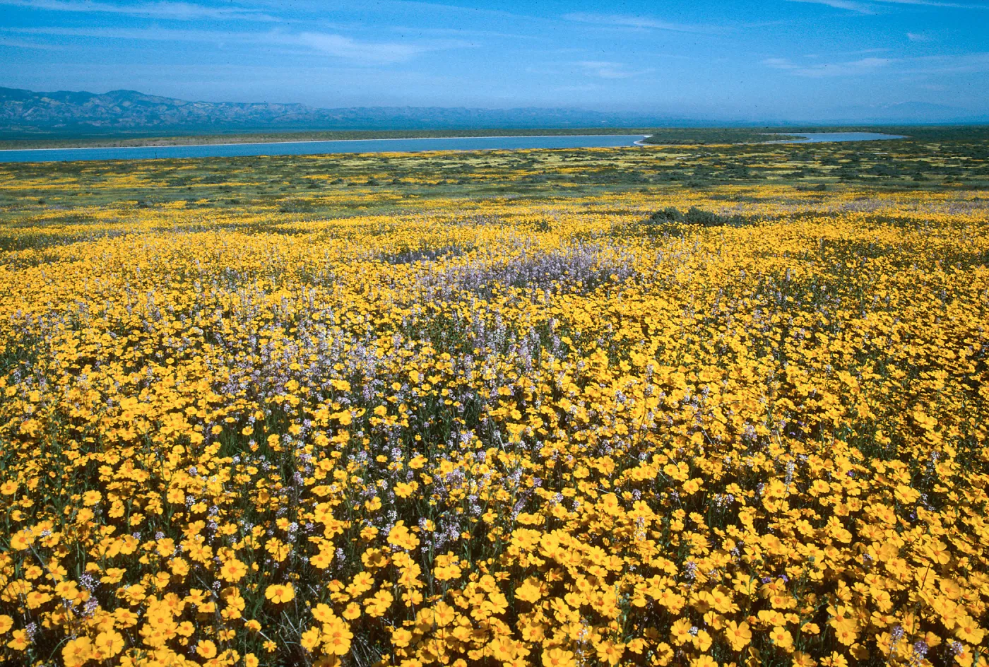 Soda Lake