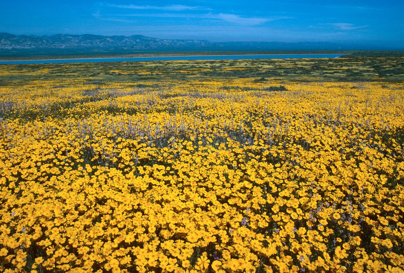 Soda Lake