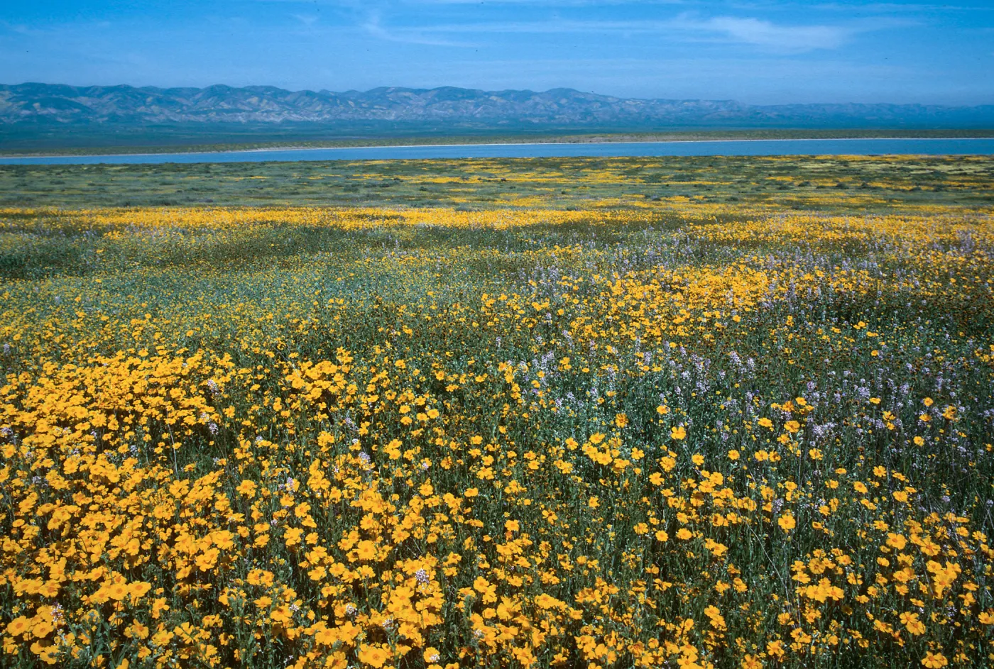 Soda Lake
