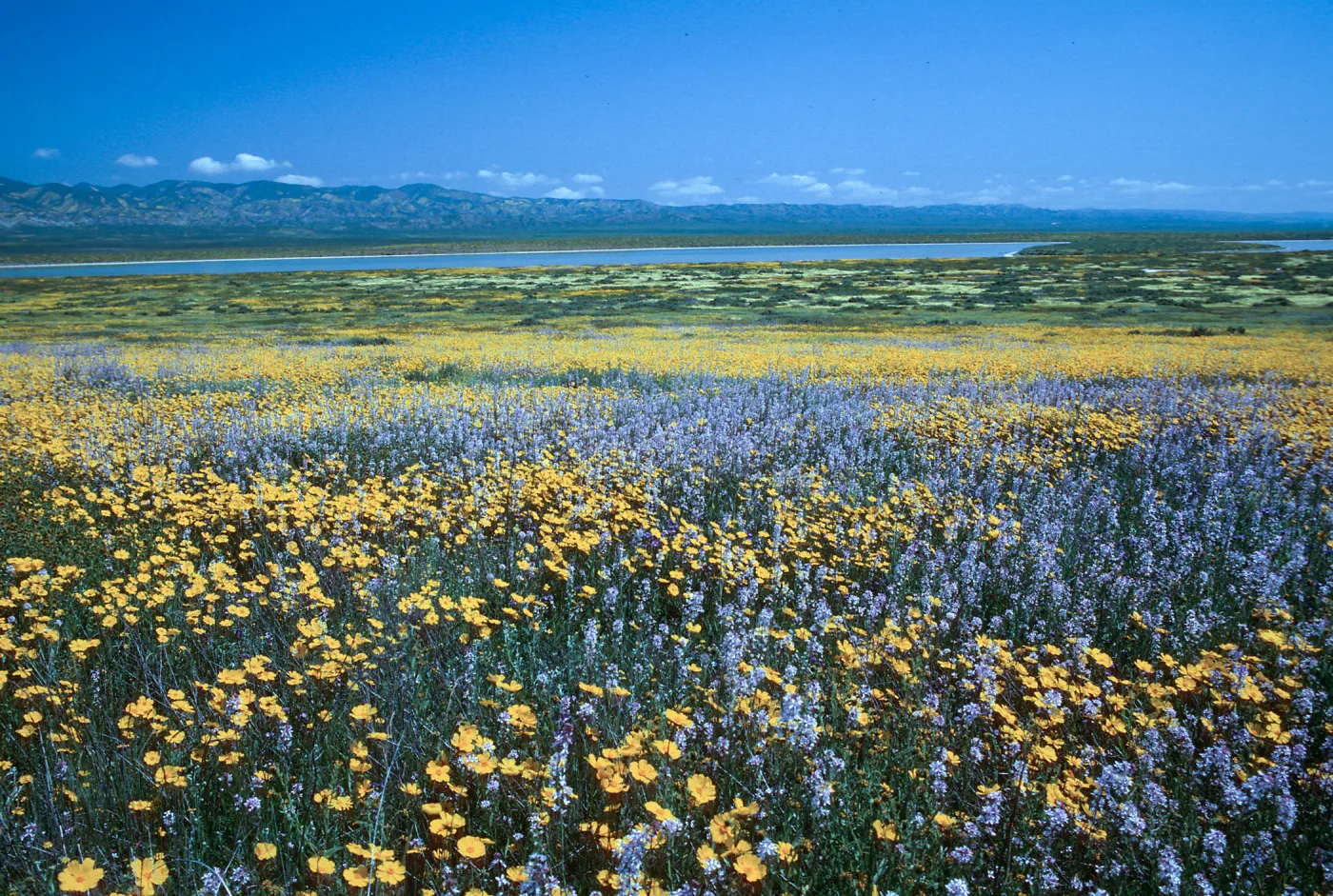 Soda Lake