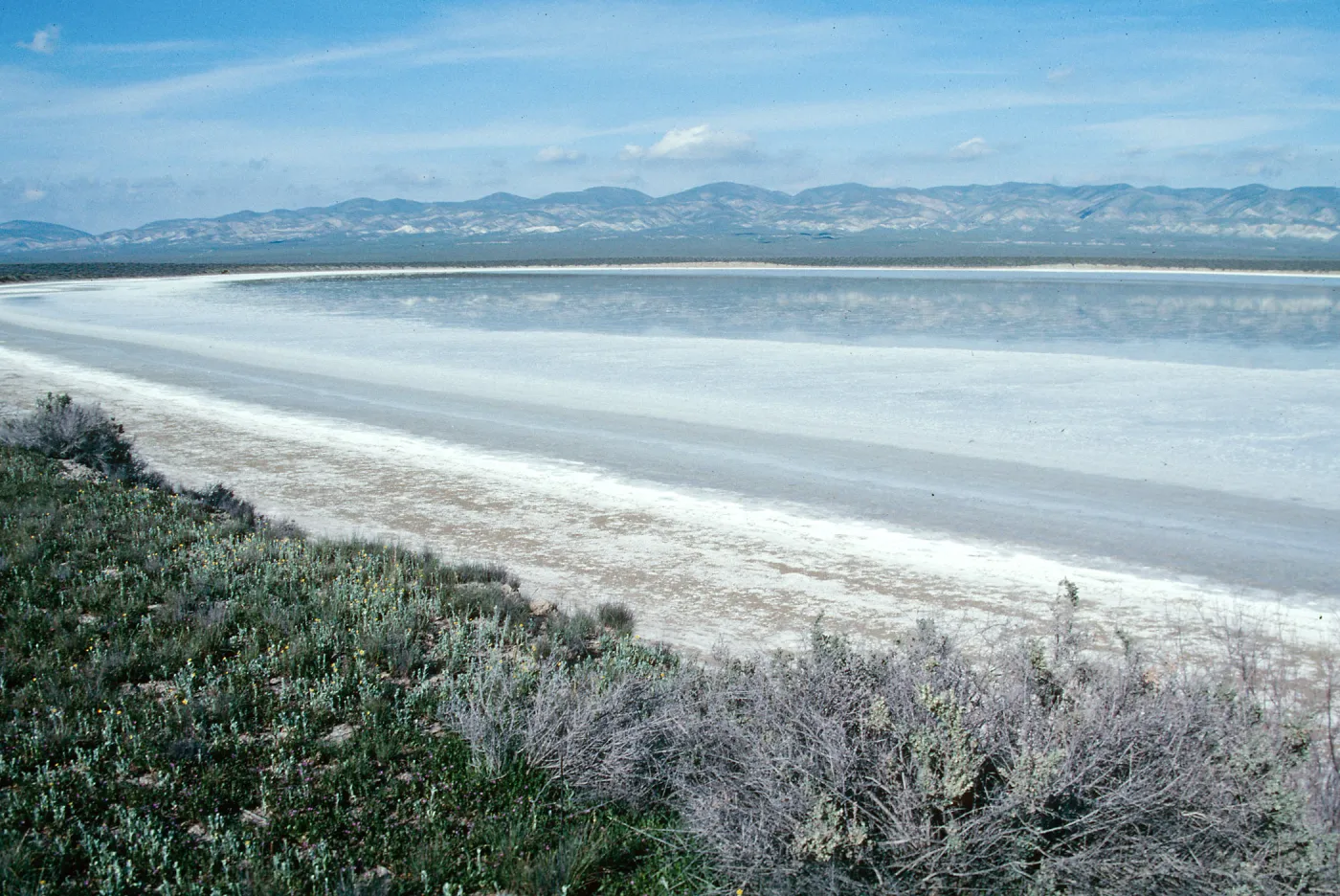 Soda Lake
