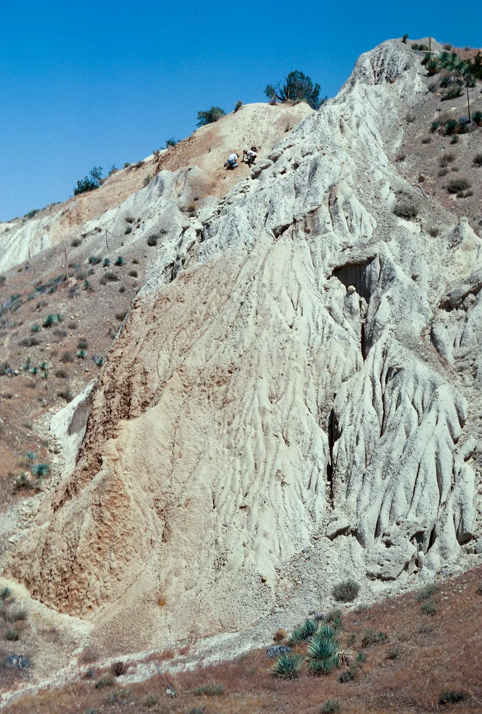 Ballinger Canyon--fossil search