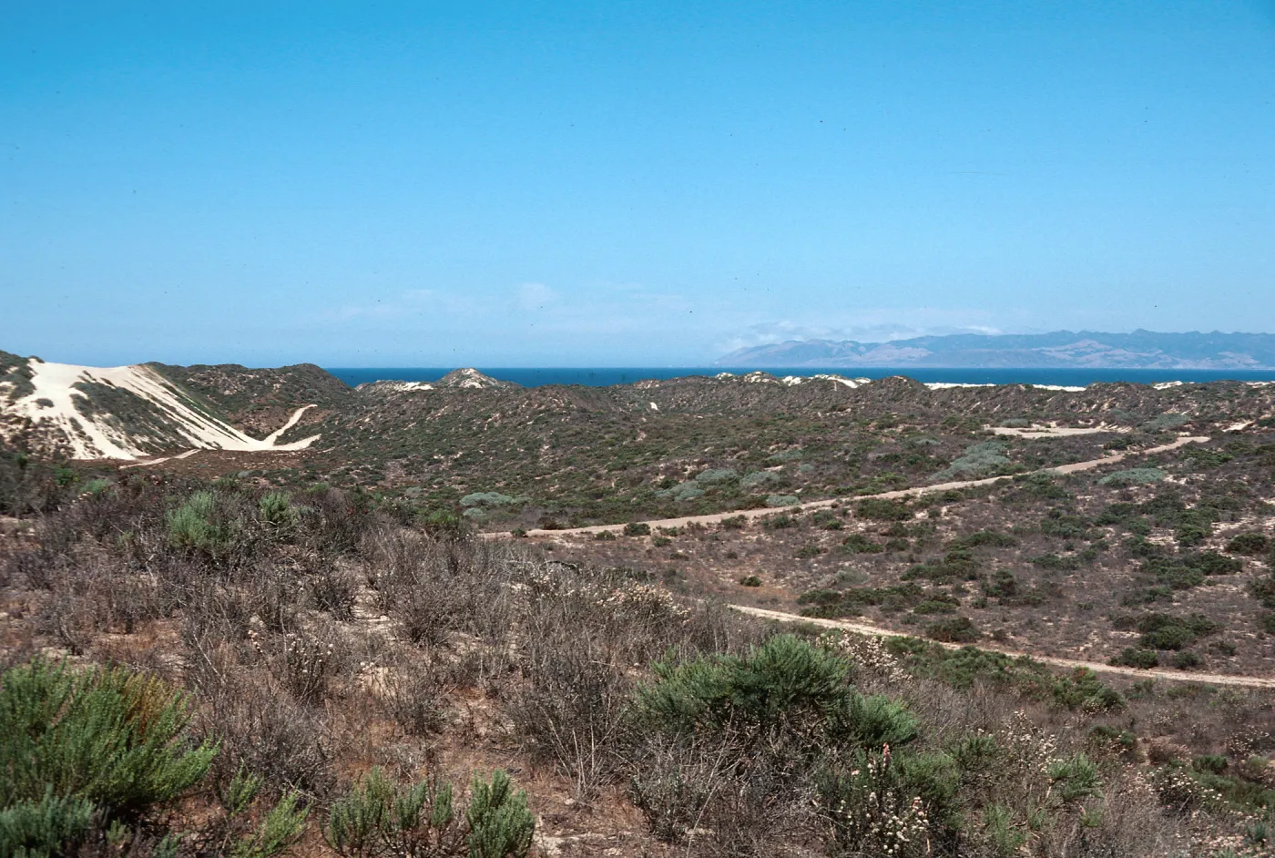 Nipomo dunes