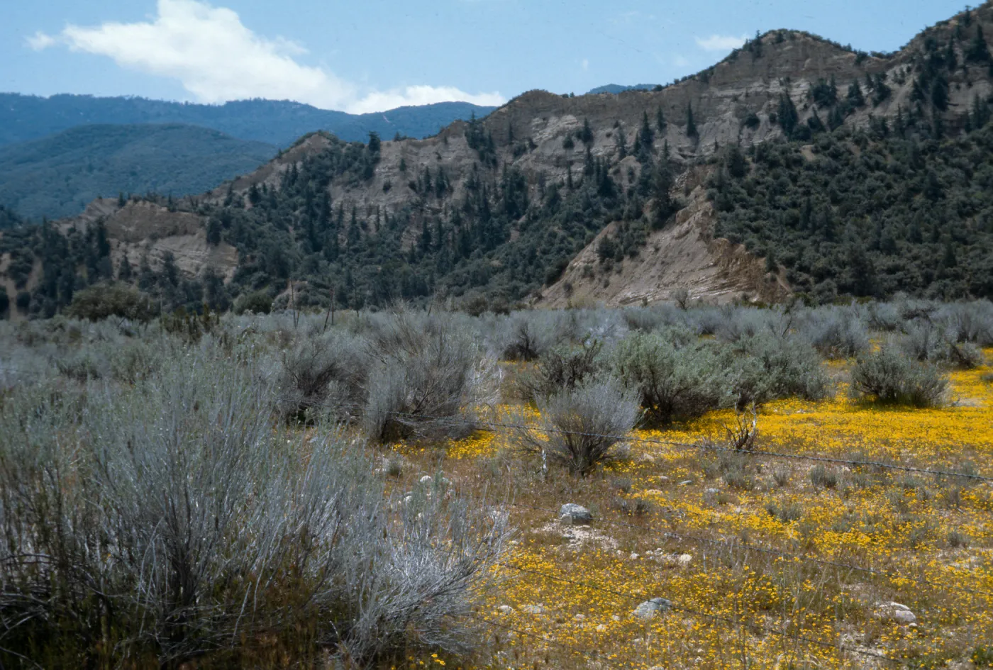 Ozena Valley