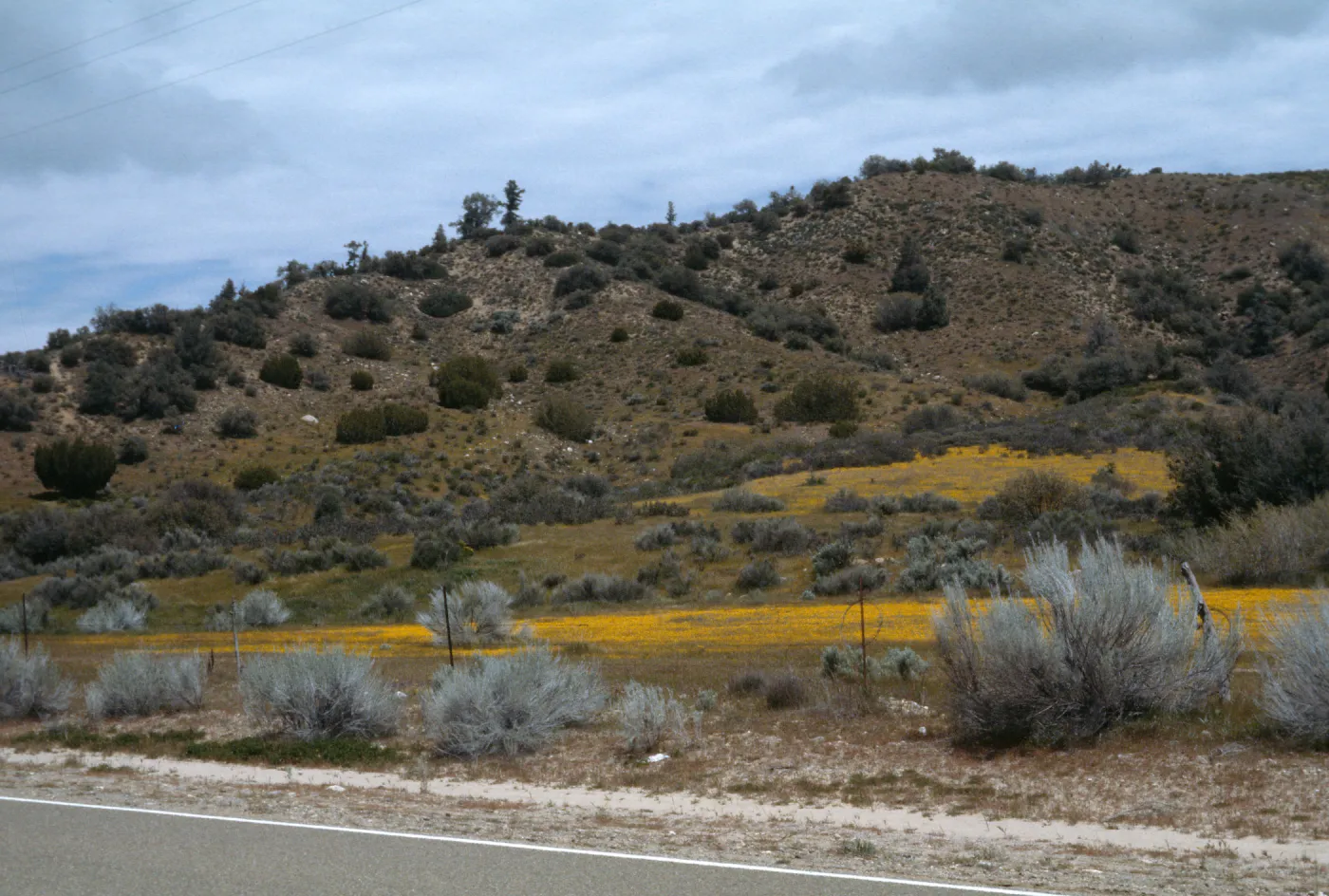 Ozena Valley