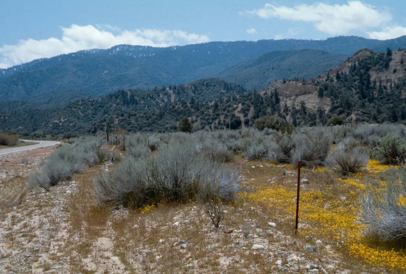 Ozena Valley