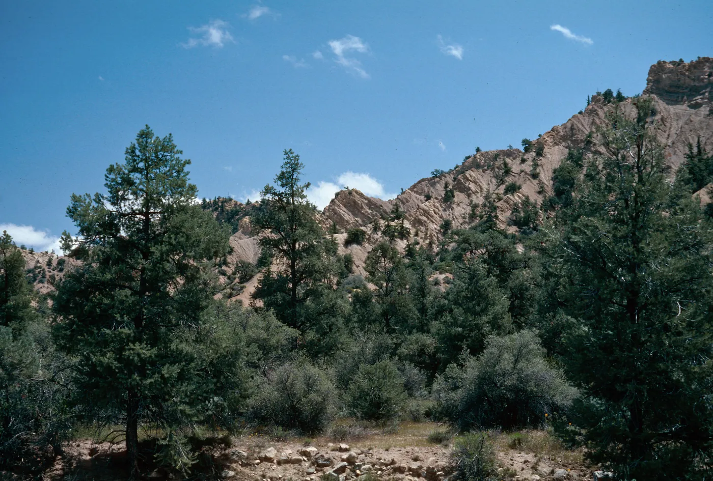 Ozena Valley
