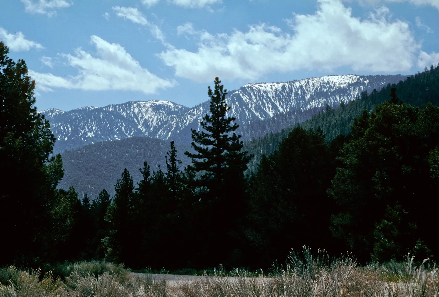 snow, Mt. Pinos