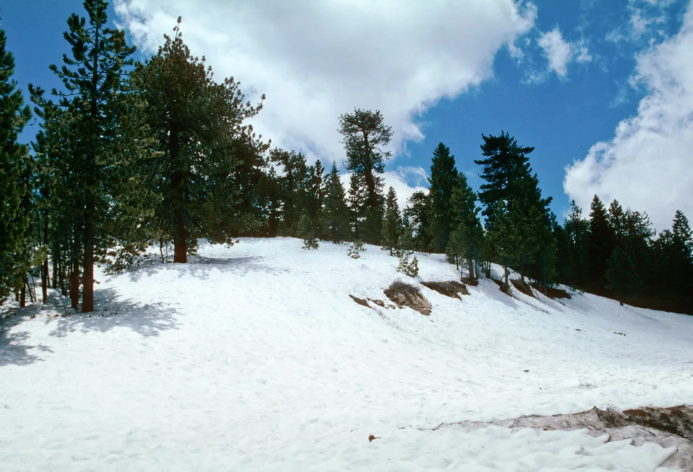 snow, Mt. Pinos